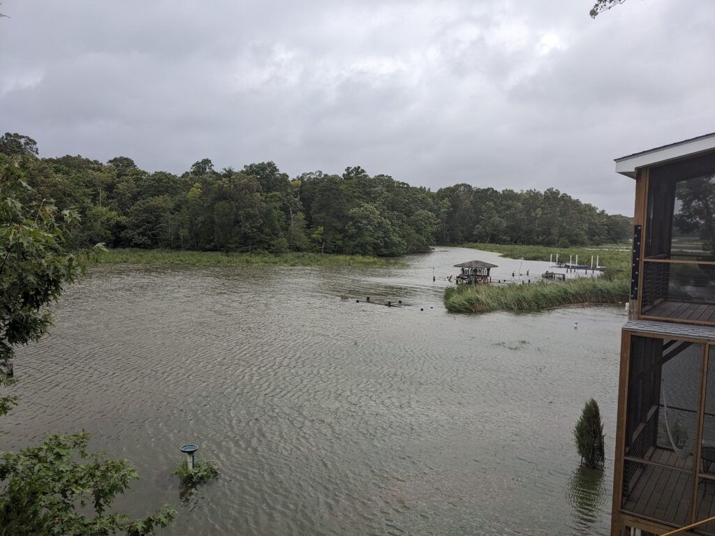 a body of water with trees around it (MyCoast AI)