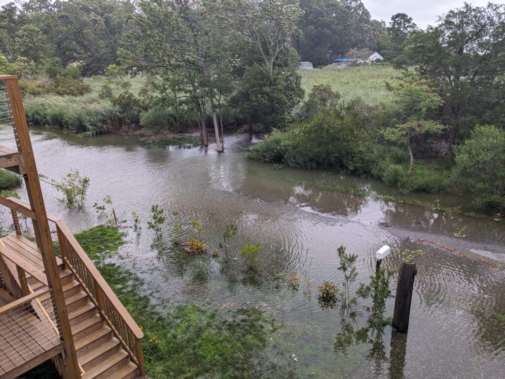 a river with a bridge and trees (MyCoast AI)