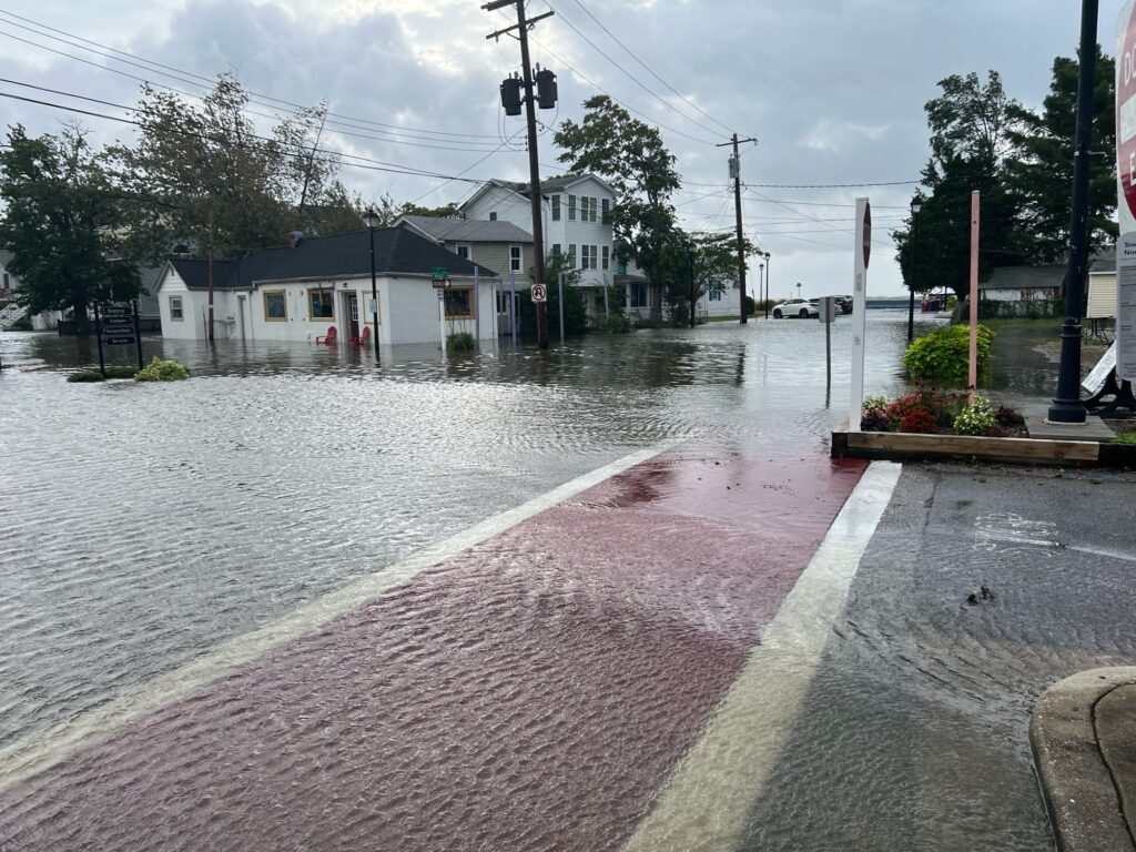 a flooded street with houses (MyCoast AI)