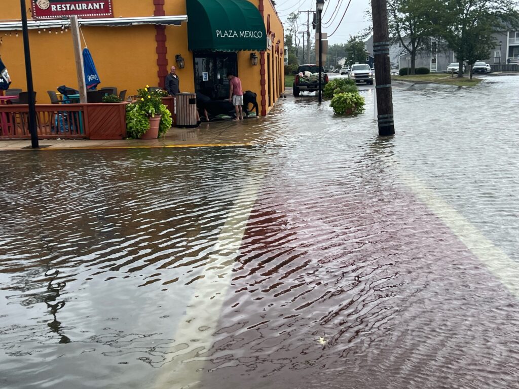 a flooded street with people and cars (MyCoast AI)