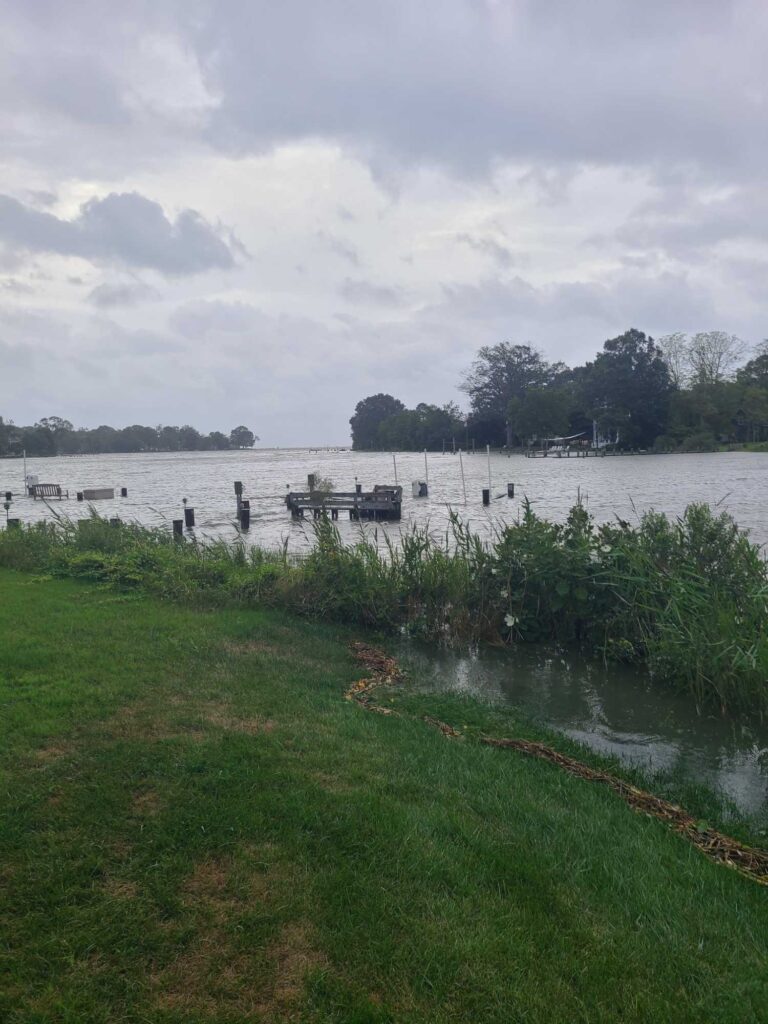 a body of water with grass and trees around it (MyCoast AI)