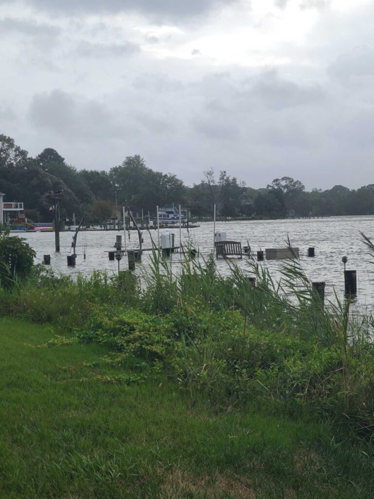 a body of water with a dock and boats in it (MyCoast AI)