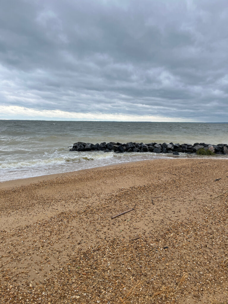 a rocky beach with a body of water in the background (MyCoast AI)