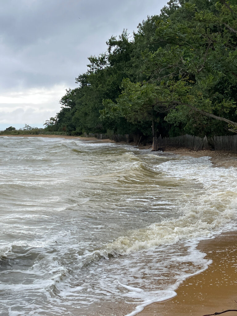 a beach with waves crashing on it (MyCoast AI)