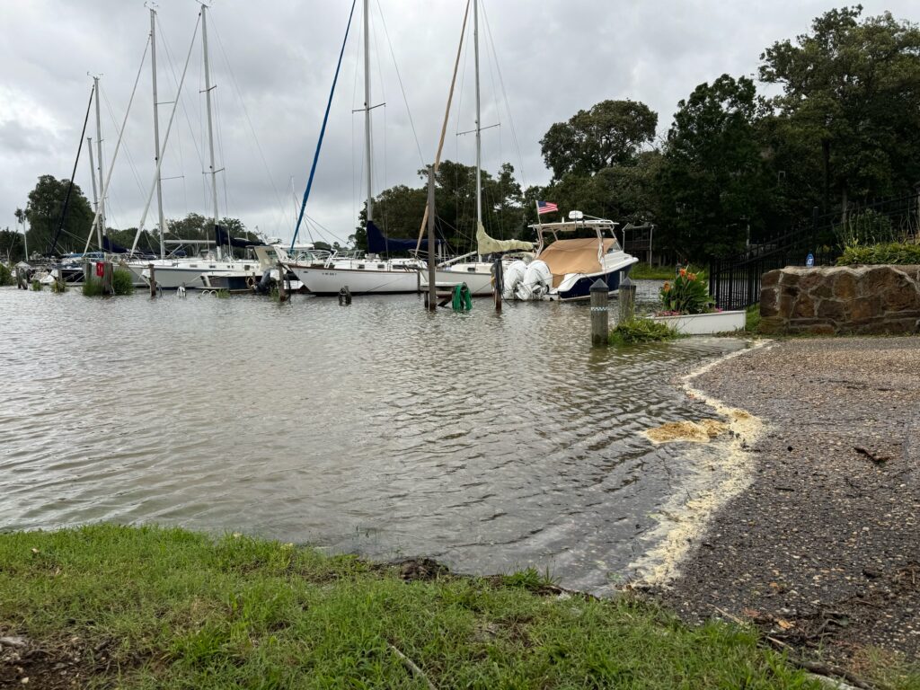 a group of boats sit in a harbor (MyCoast AI)