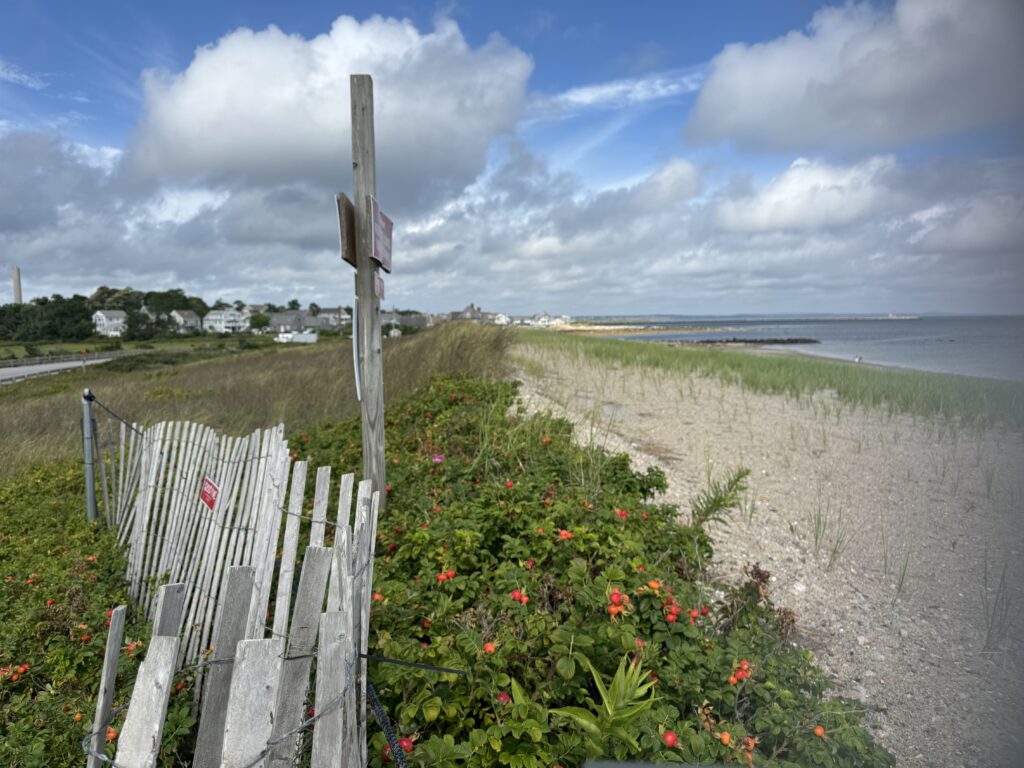 a fence next to a beach (MyCoast AI)