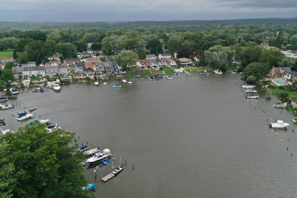 a body of water with boats in it and trees around it (MyCoast AI)
