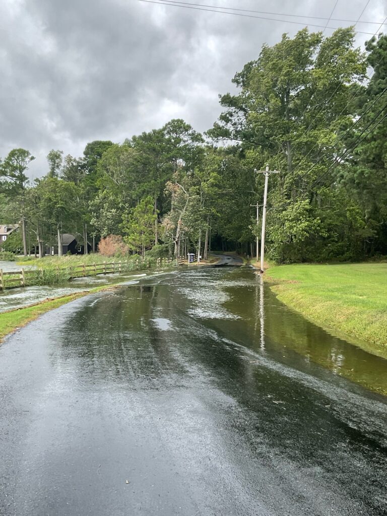 a flooded road with trees on either side of it (MyCoast AI)