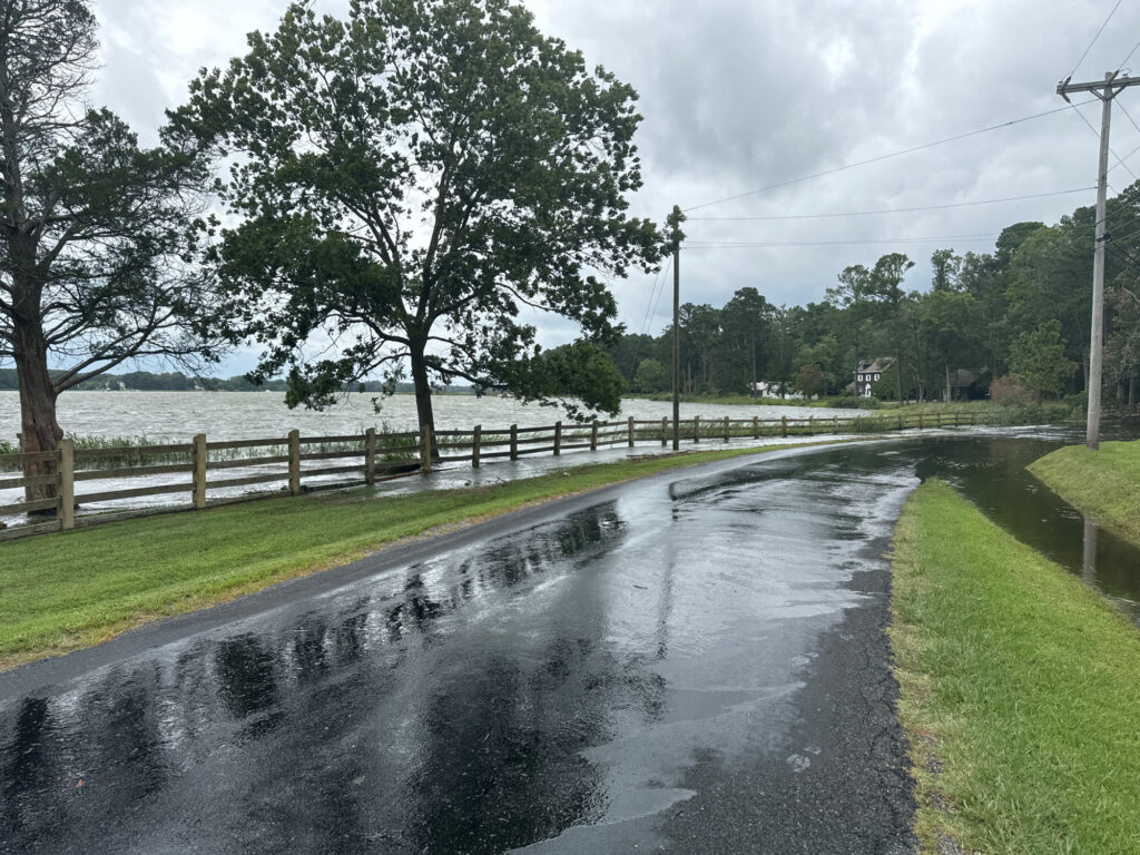 a wet road with a fence and trees on the side (MyCoast AI)