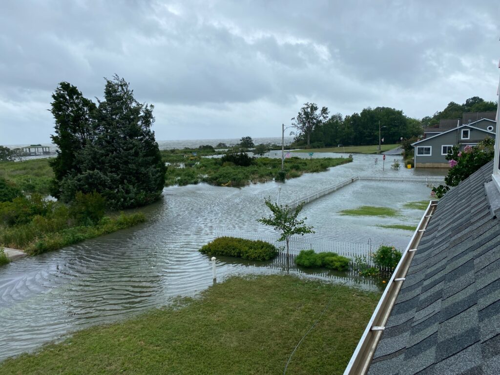 a river with a bridge and grass (MyCoast AI)