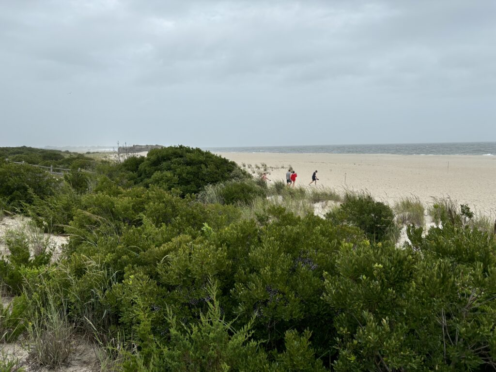 a group of people walking on a beach (MyCoast AI)