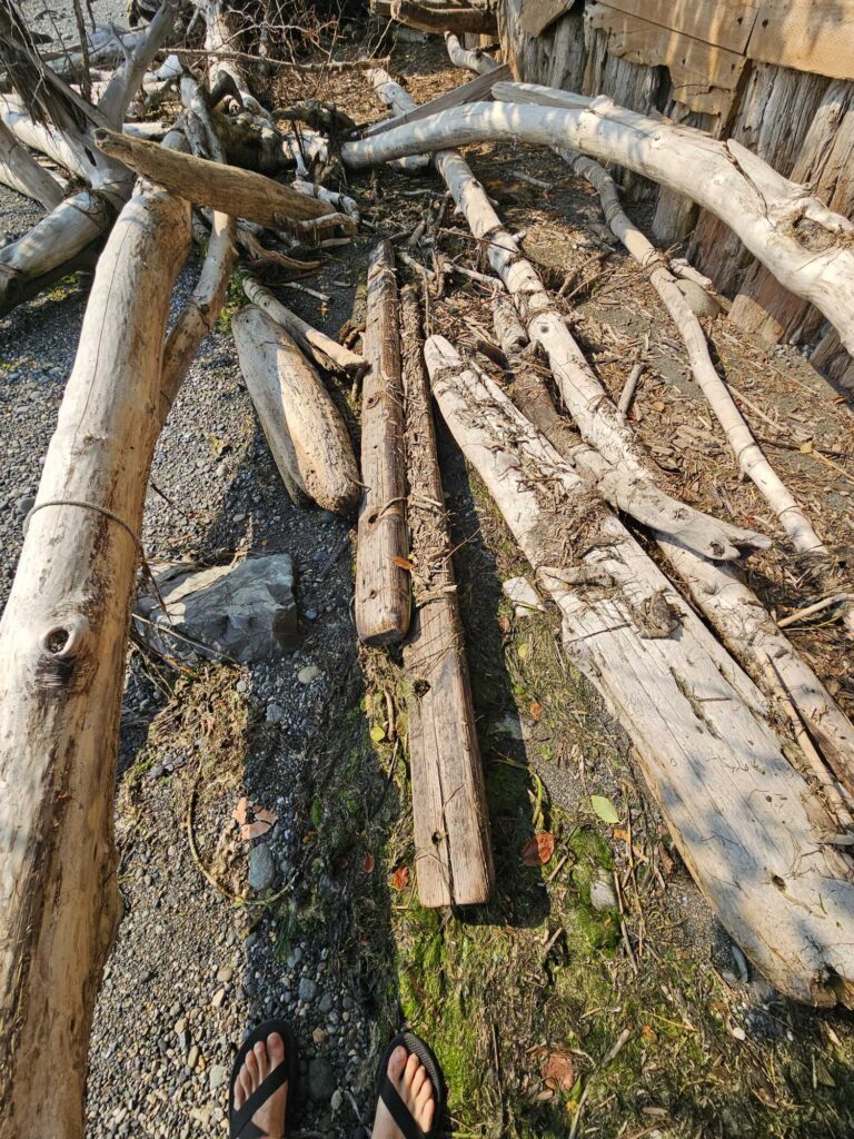 a group of logs (MyCoast AI)