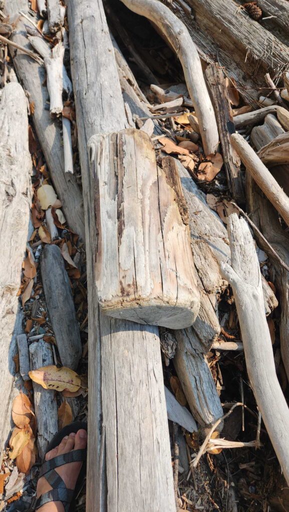 a person's foot on a wooden plank (MyCoast AI)