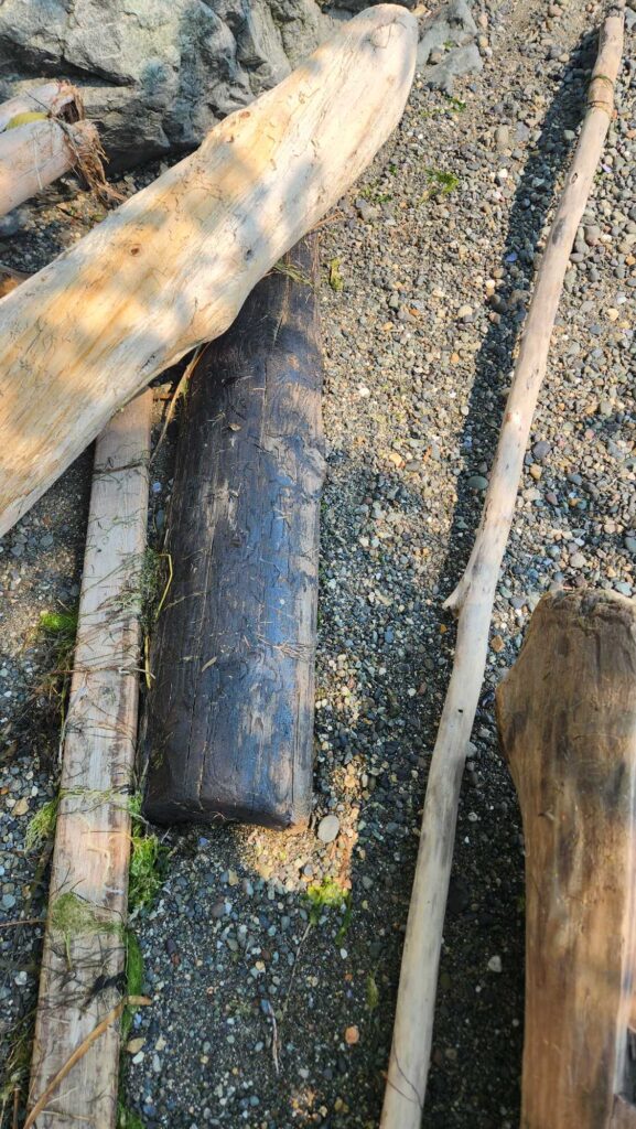 a close-up of some wood (MyCoast AI)