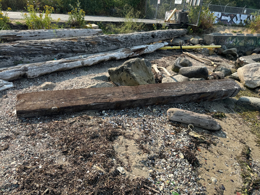 a group of logs in a garden (MyCoast AI)