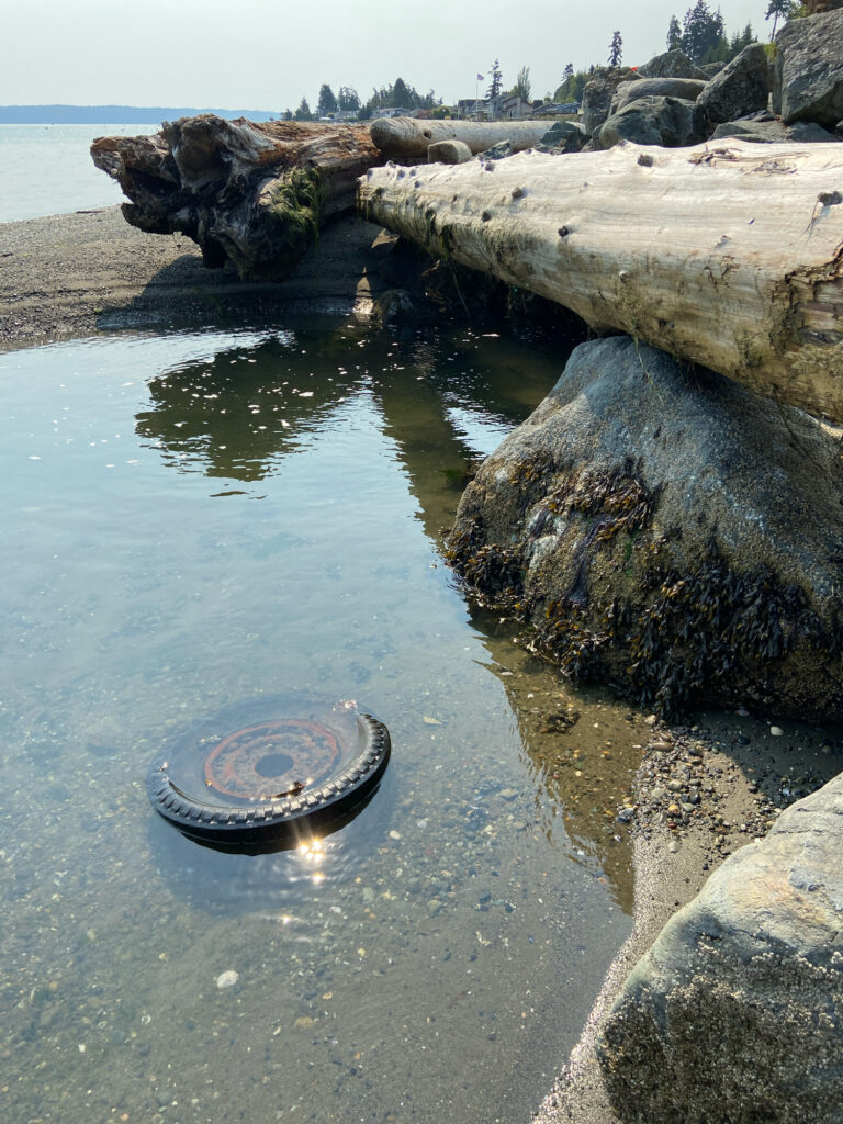 a small pool of water (MyCoast AI)