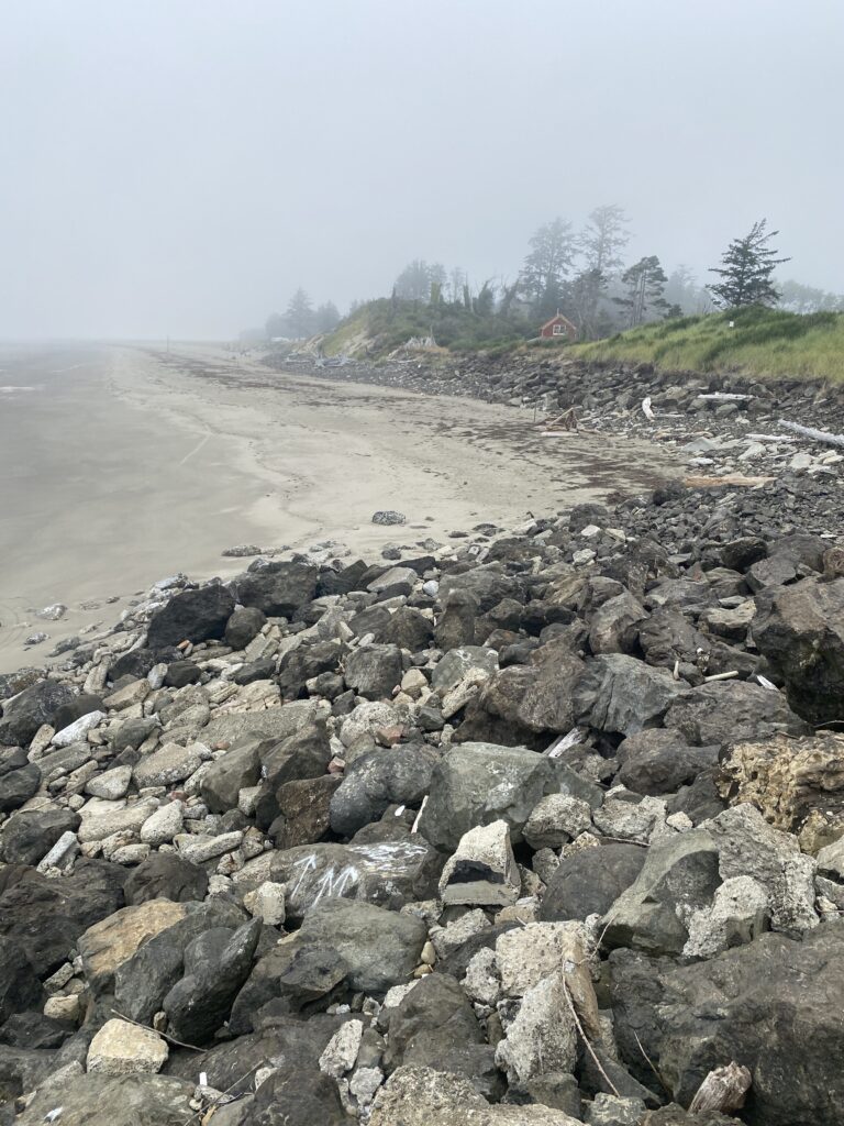 a rocky beach with trees and a hill in the background (MyCoast AI)