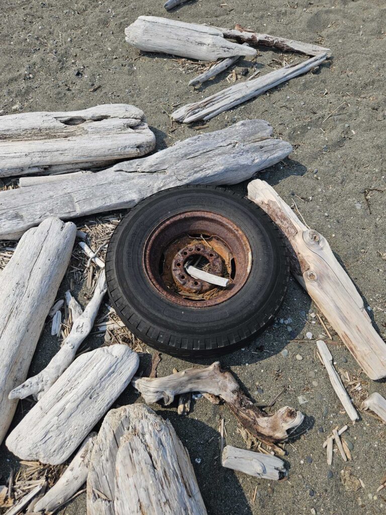 a tire on a pile of wood (MyCoast AI)