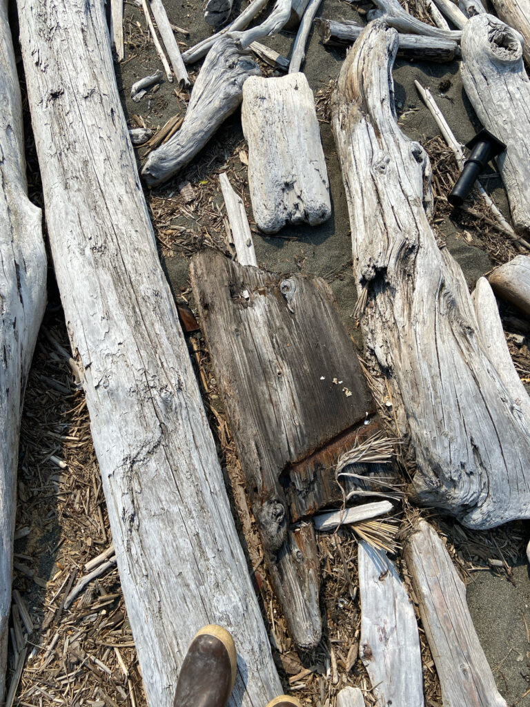 a group of logs (MyCoast AI)