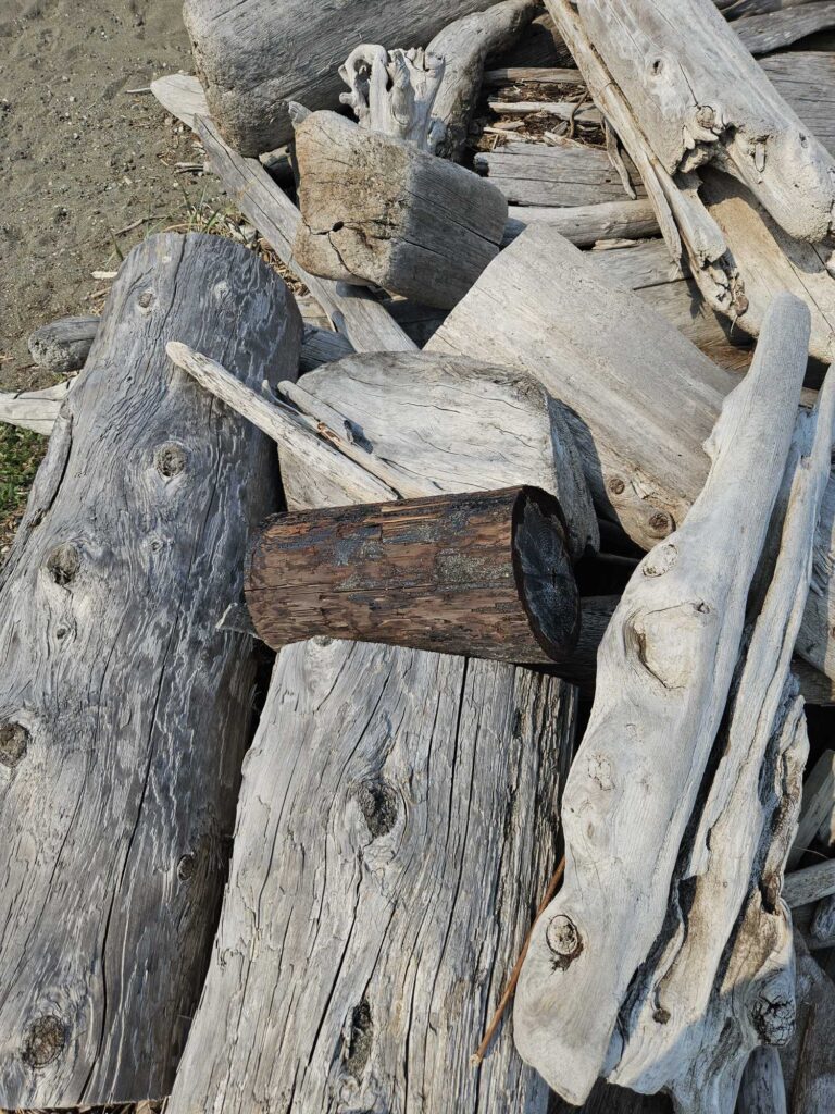 a group of wood pieces (MyCoast AI)