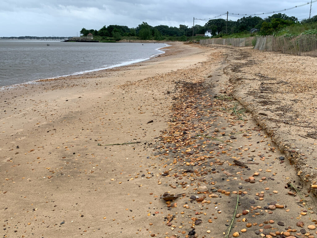 a muddy beach with a fence and trees in the background (MyCoast AI)