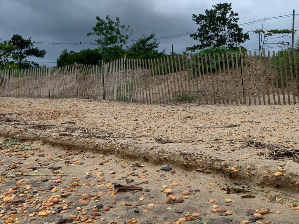 a fenced off area with trees (MyCoast AI)