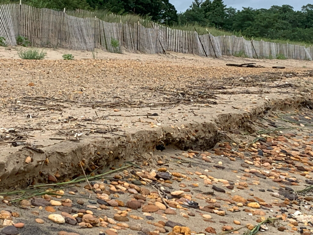 a rocky area with a fence and trees in the background (MyCoast AI)
