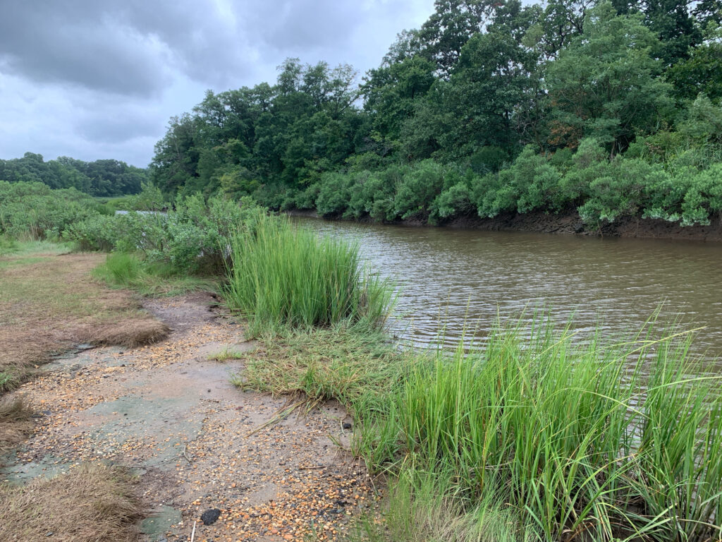 a river with a dirt path and grass on the side (MyCoast AI)