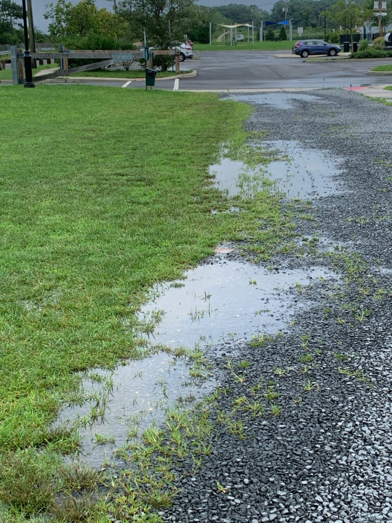 a puddle on the ground (MyCoast AI)