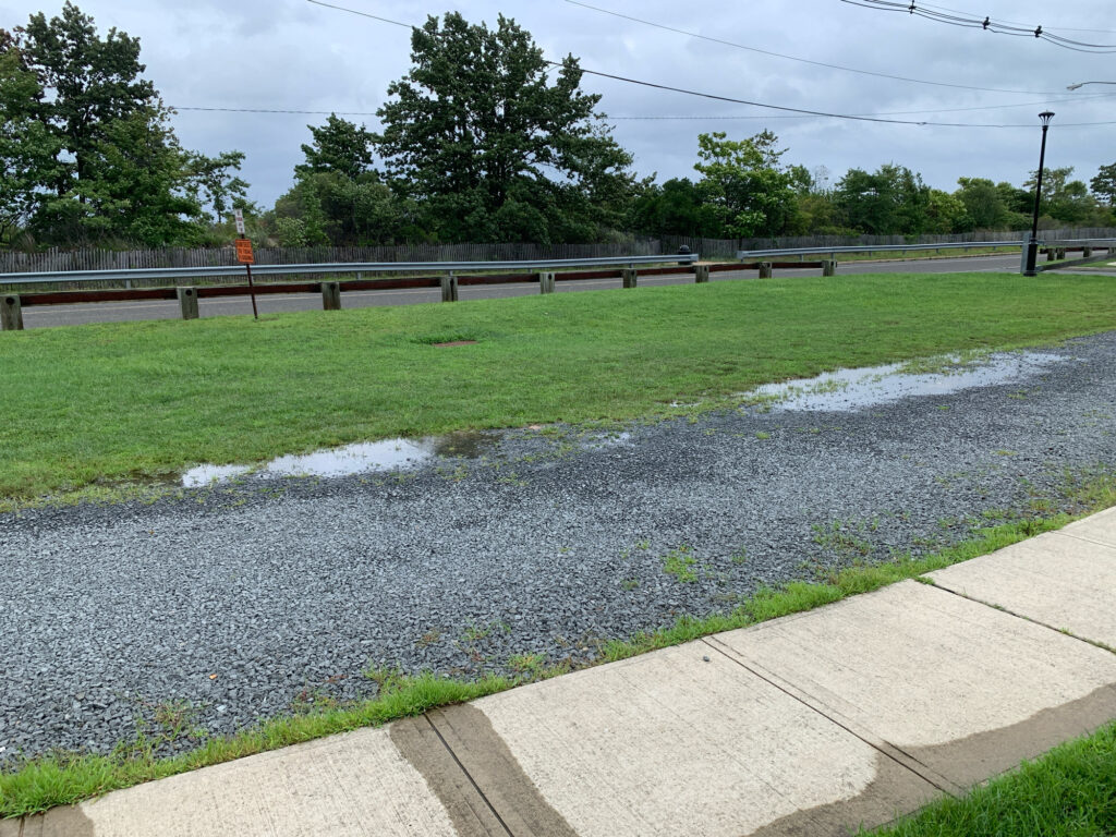 a sidewalk and grass with Diana, Princess of Wales Memorial Fountain in the background (MyCoast AI)
