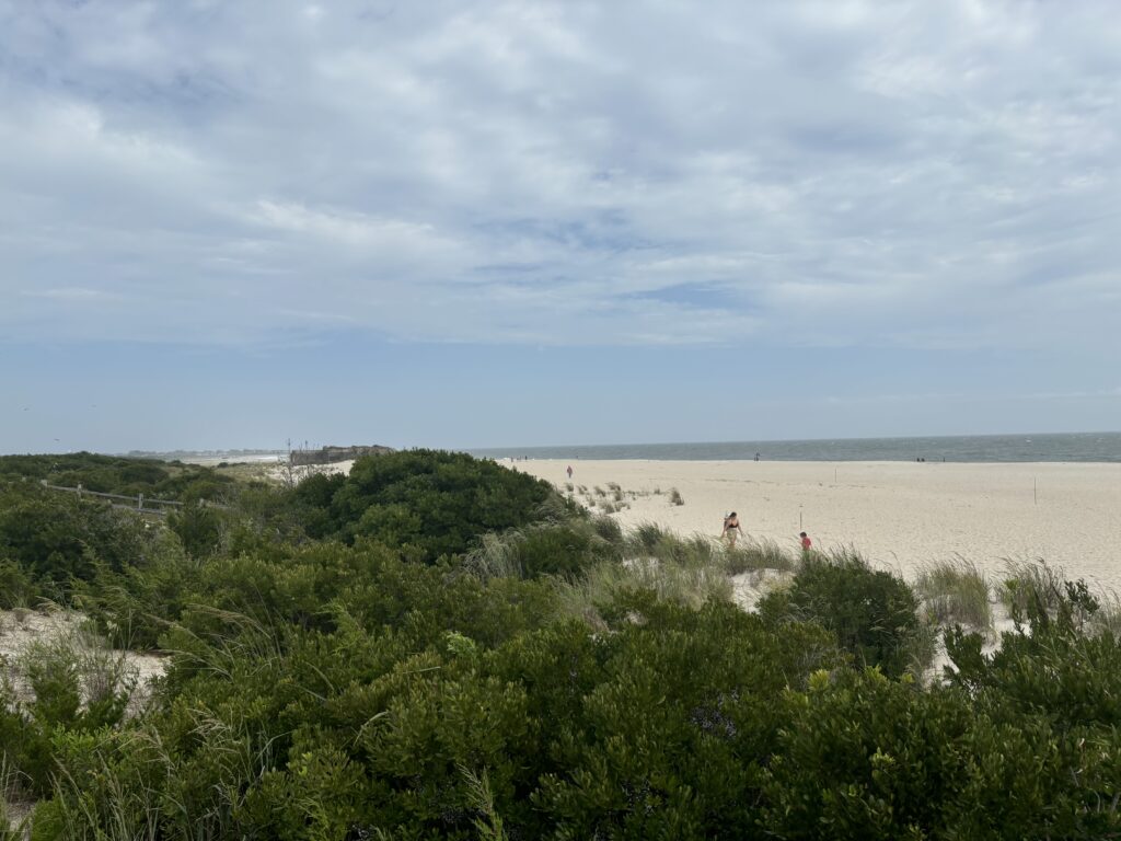 a group of people walking on a beach (MyCoast AI)