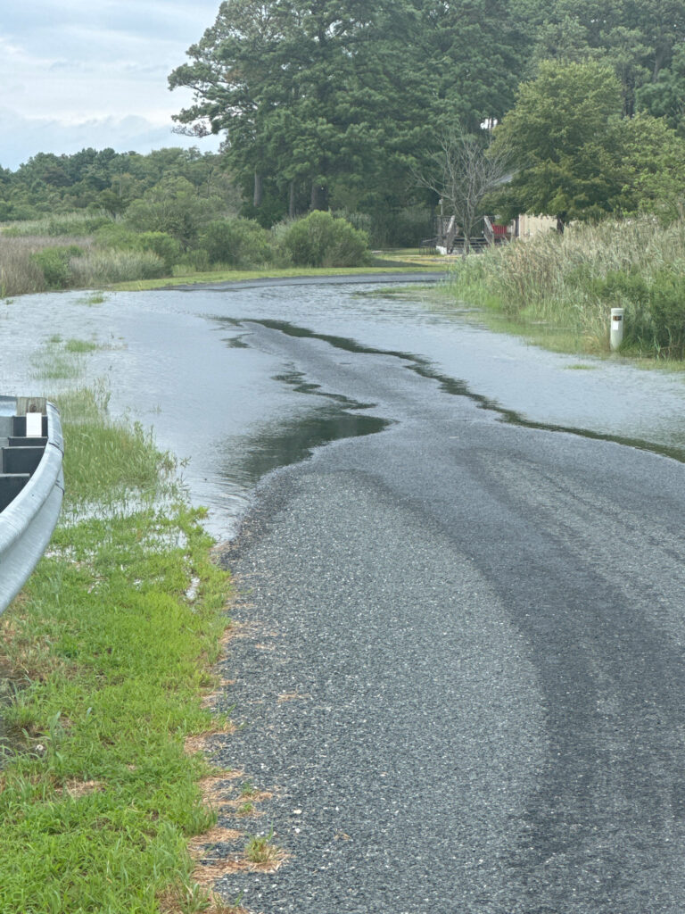 a road with water on the side (MyCoast AI)