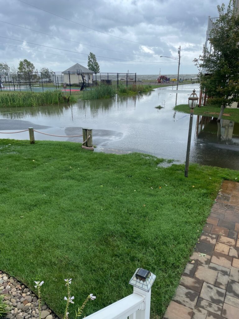 a pond with grass and a walkway (MyCoast AI)