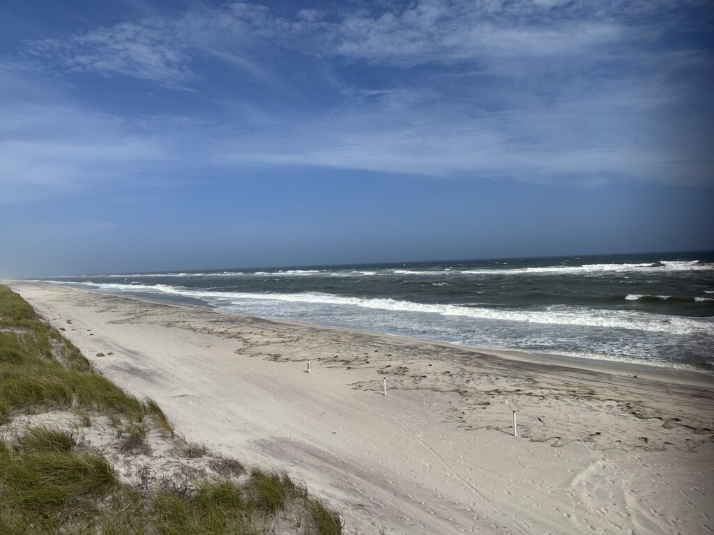 a beach with waves crashing on it (MyCoast AI)