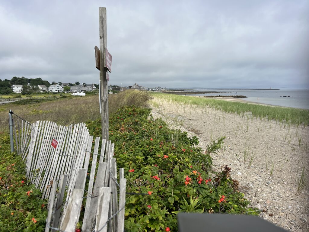 a fence and a field (MyCoast AI)
