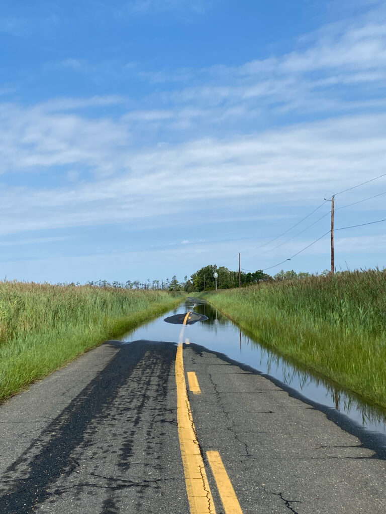 a road with grass on the side (MyCoast AI)