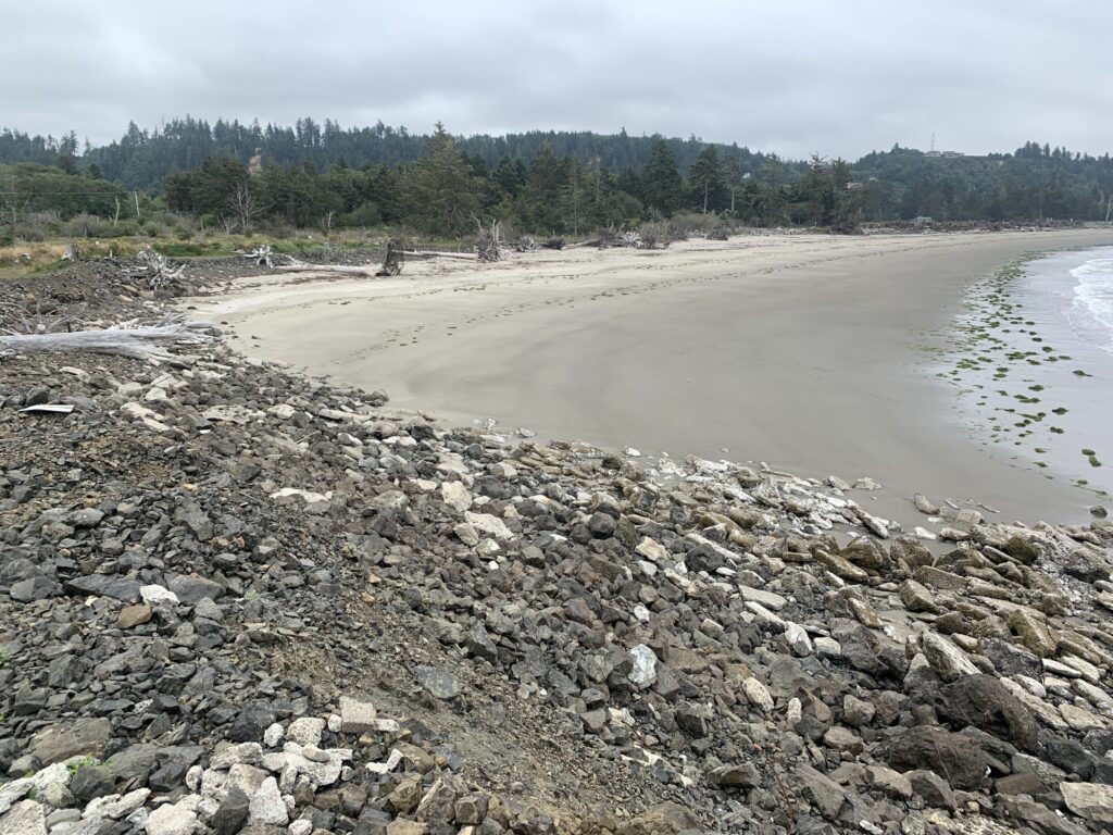 a rocky beach with a body of water and trees in the background (MyCoast AI)
