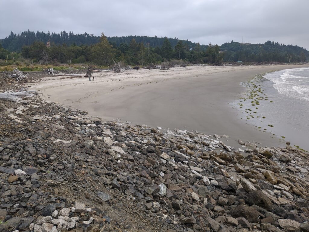 a rocky beach with trees in the background (MyCoast AI)