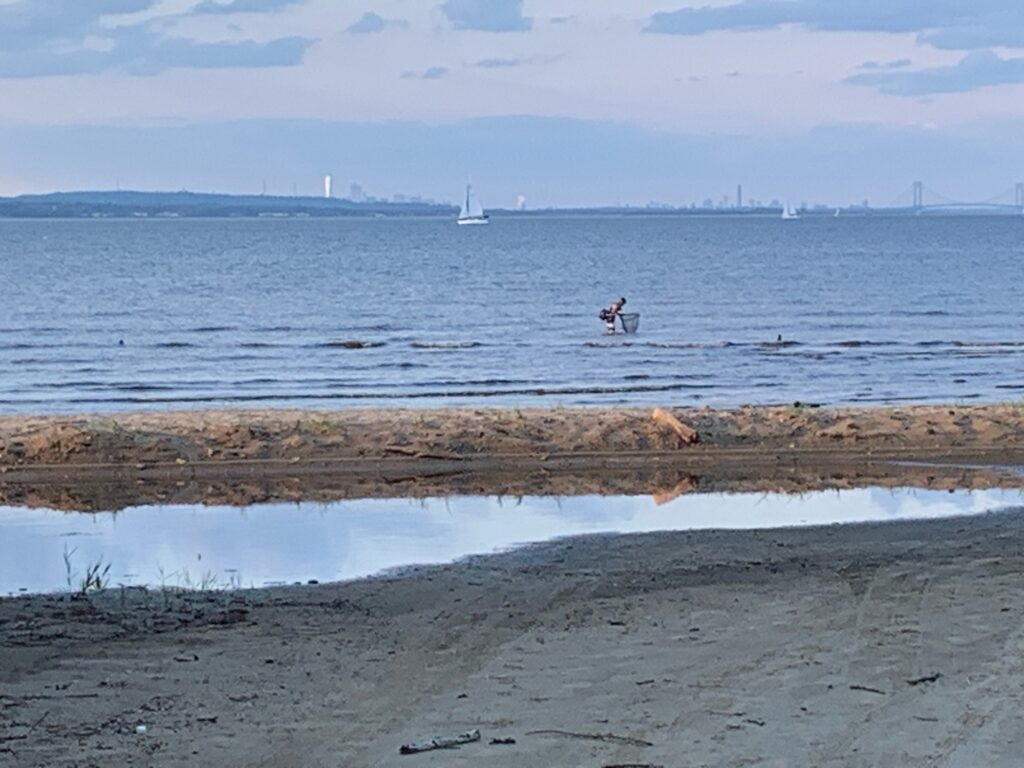 a person surfing in the sea (MyCoast AI)