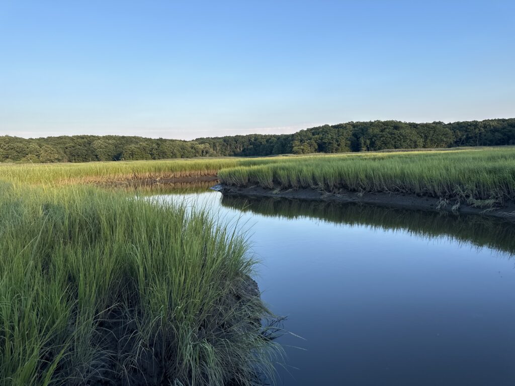 a body of water with grass and trees around it (MyCoast AI)
