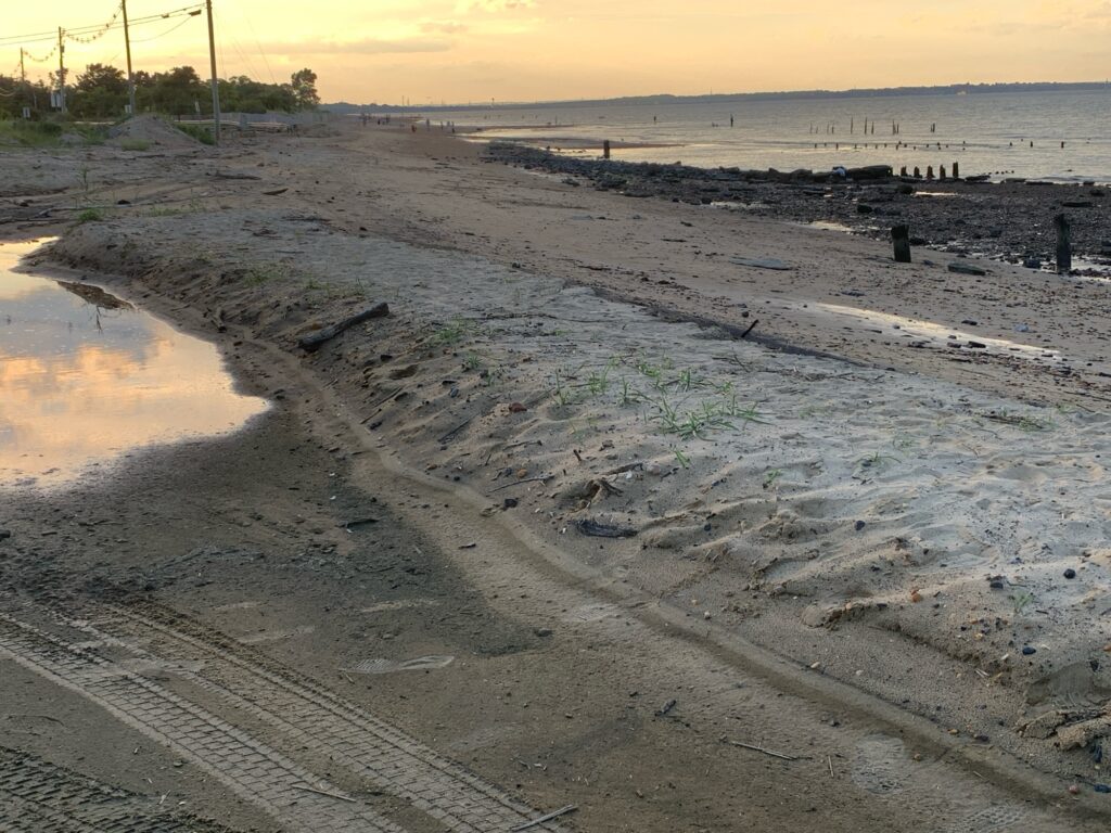 a muddy area with a puddle (MyCoast AI)
