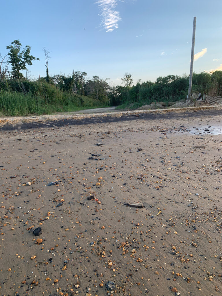 a dirt road with grass and trees on the side (MyCoast AI)