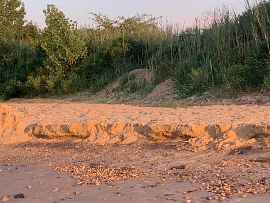 a pile of rocks (MyCoast AI)