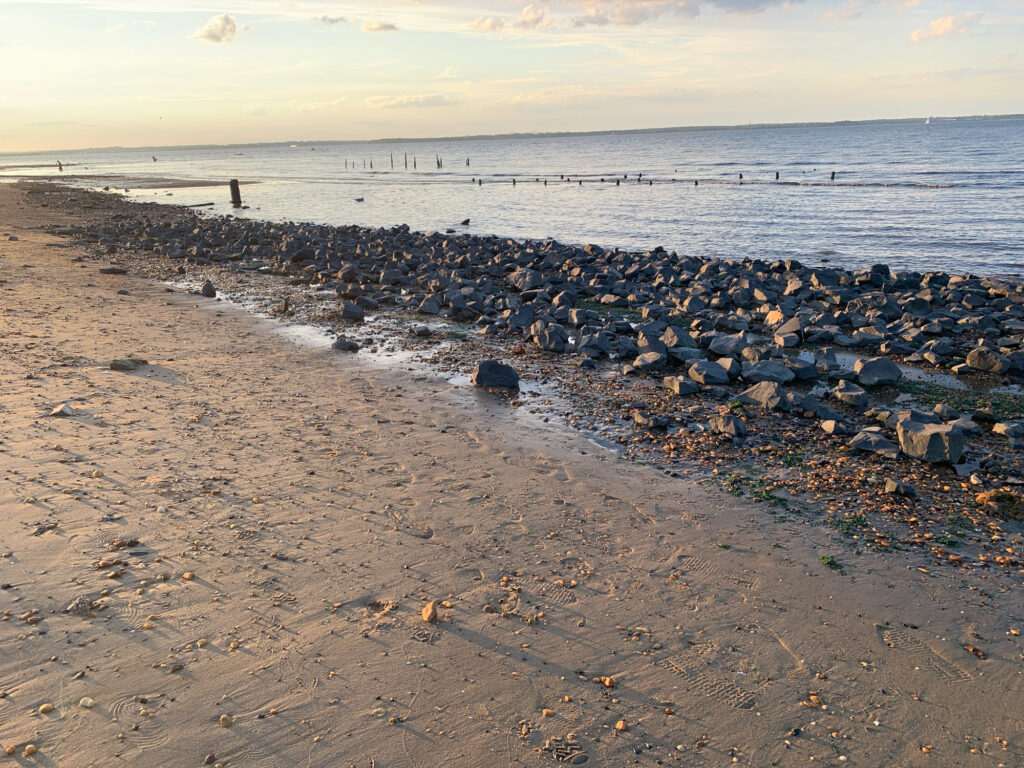 a rocky beach with a body of water in the background (MyCoast AI)