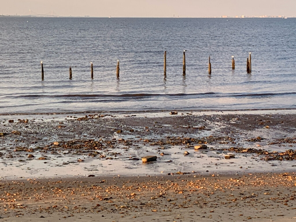 a beach with a row of wooden posts in the water (MyCoast AI)