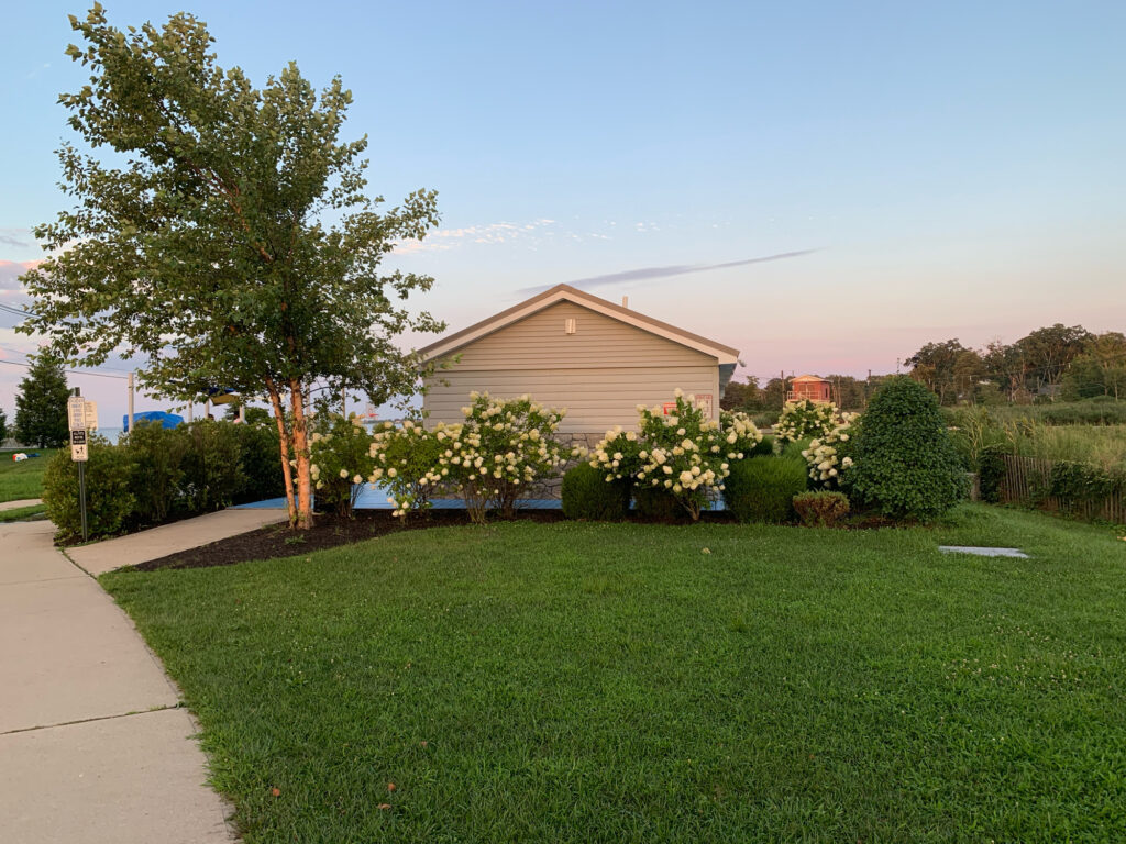a lawn with trees and bushes (MyCoast AI)