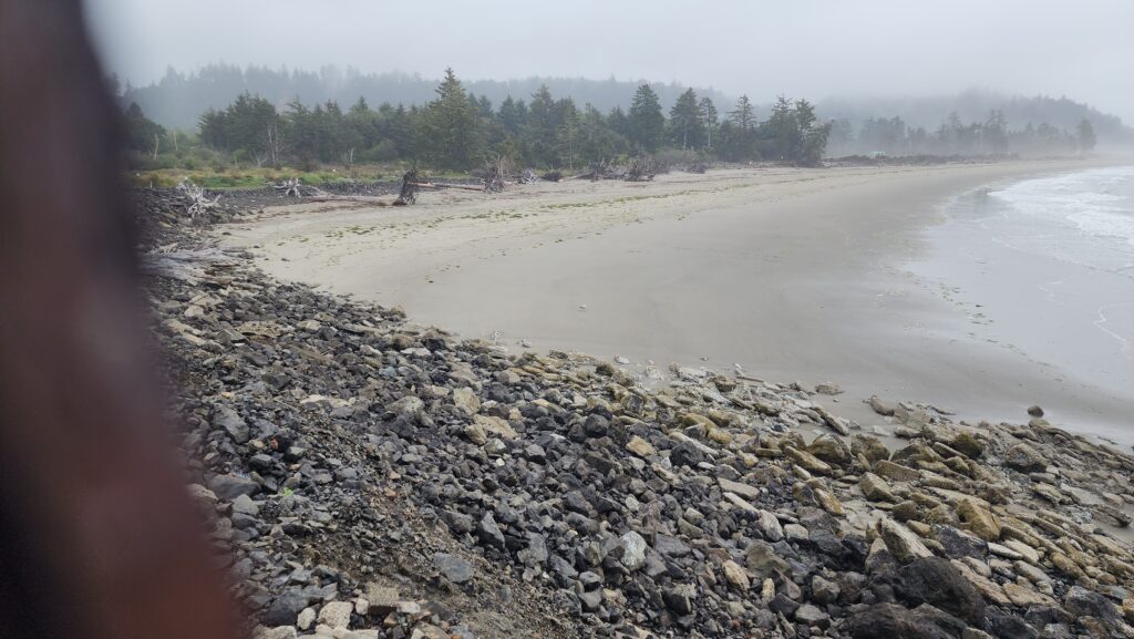 a rocky beach with trees in the background (MyCoast AI)