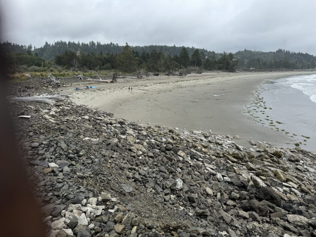 a rocky beach with trees in the background (MyCoast AI)
