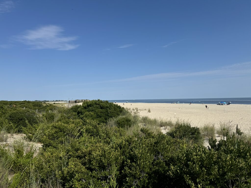 a beach with bushes and trees (MyCoast AI)