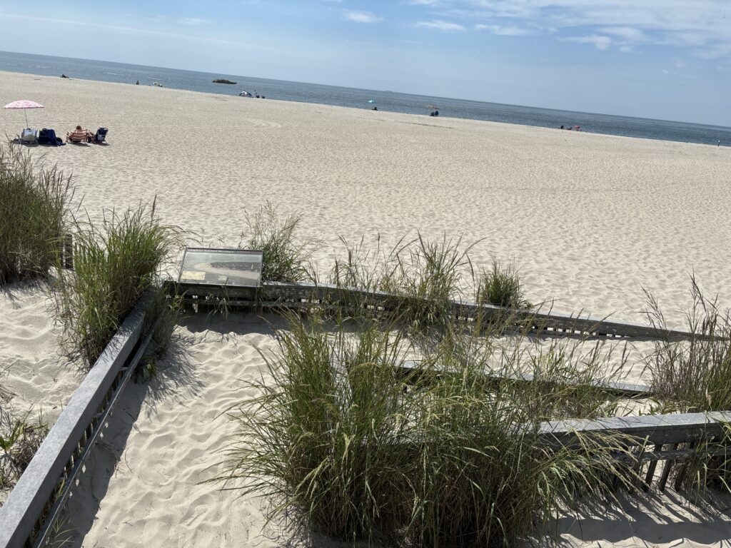 a sandy beach with a bench (MyCoast AI)